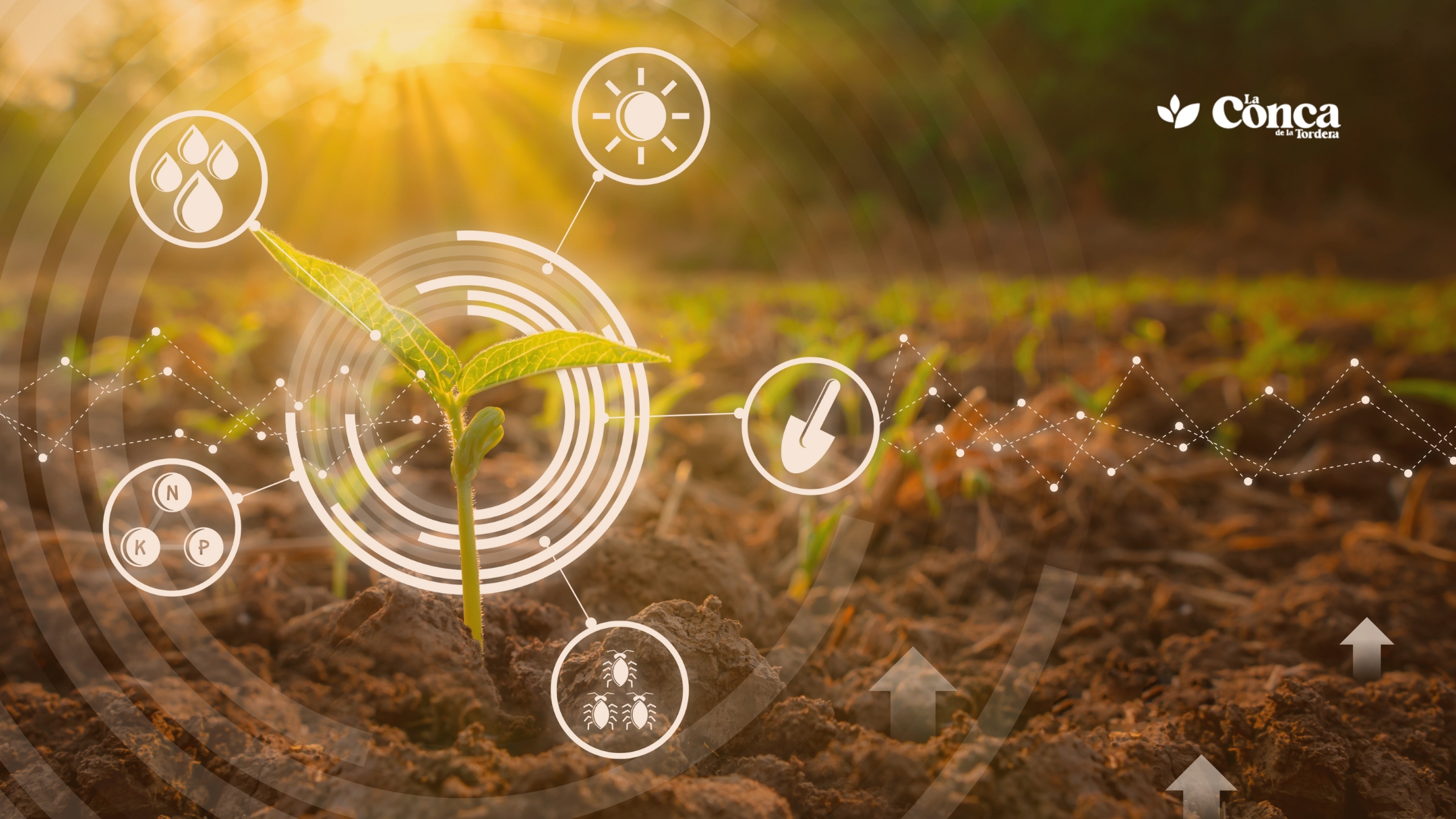 Biotecnología en la agricultura -Conca de la Tordera