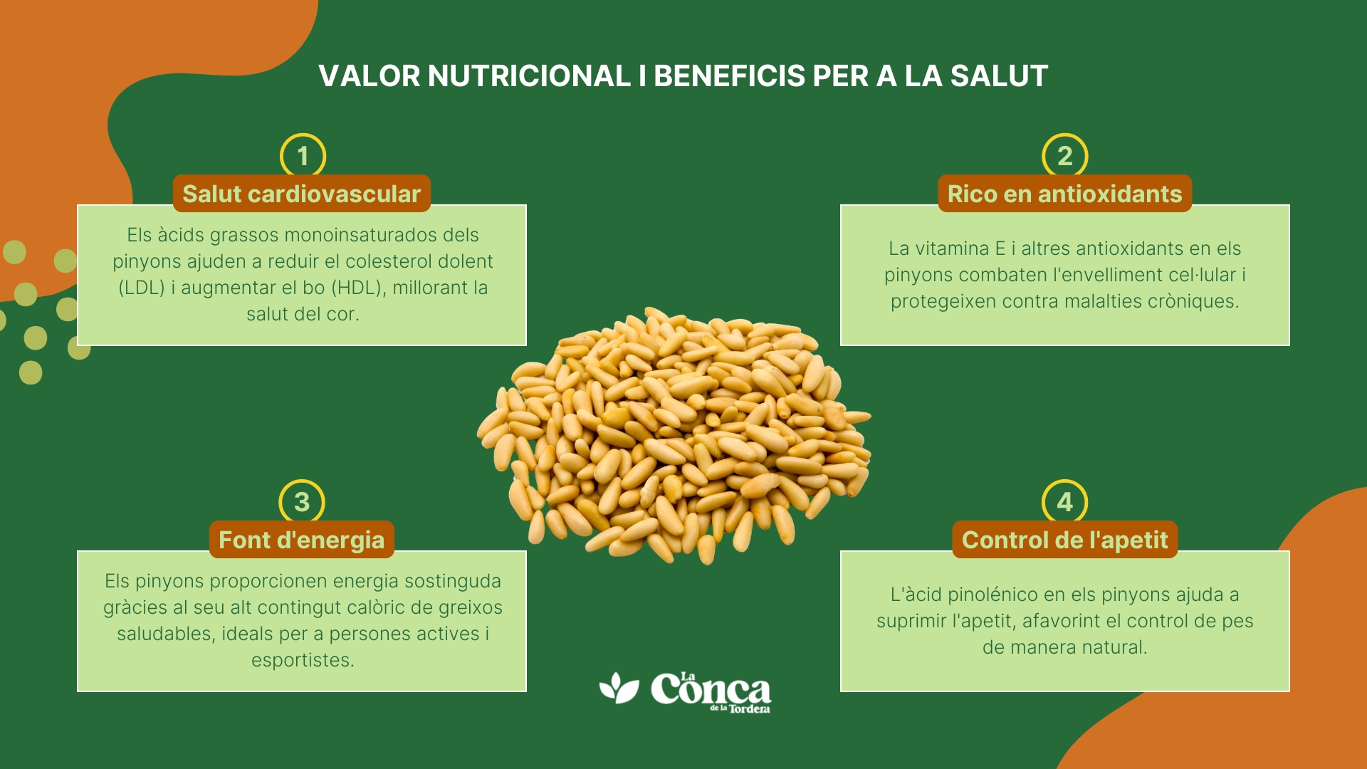 valor nutricional i benefics de els pinyons